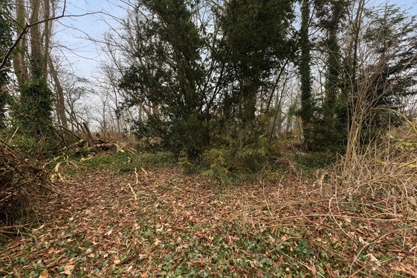 Medium property photo - Suderein 52, 9255 LC Tytsjerk